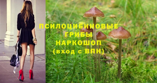 прущие крисы Алексин