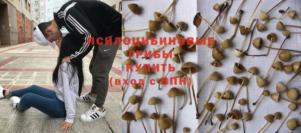 мяу мяу мука Абдулино