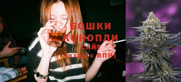 крисы Аркадак