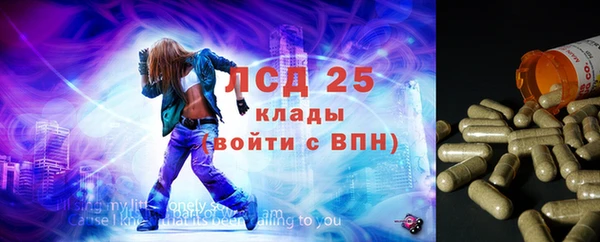 крисы Аркадак
