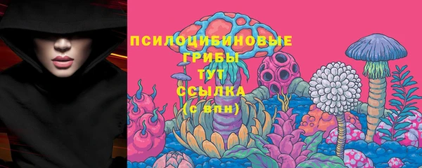 таблы Алзамай