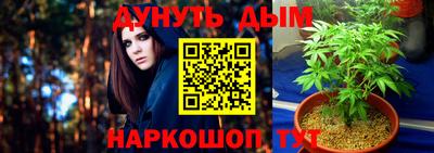 прущие грибы Ливны
