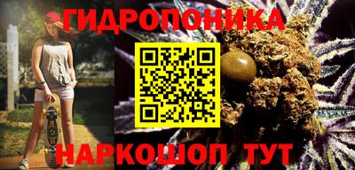 гидра Лесосибирск