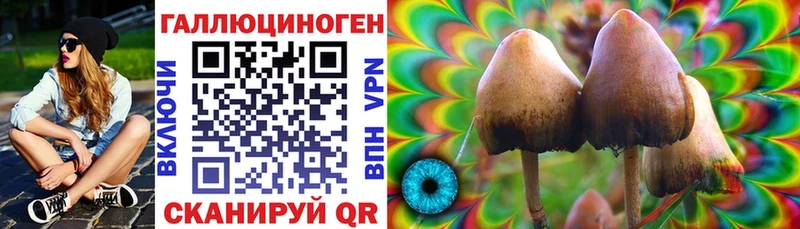 Псилоцибиновые грибы прущие грибы  Раменское 