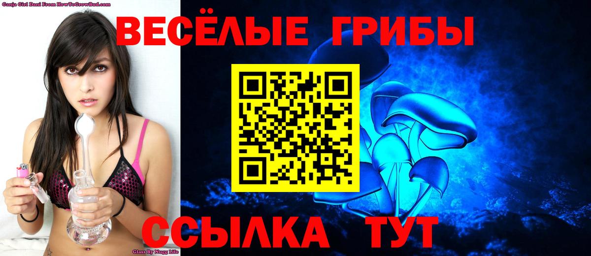 Псилоцибиновые грибы Psilocybe Раменское