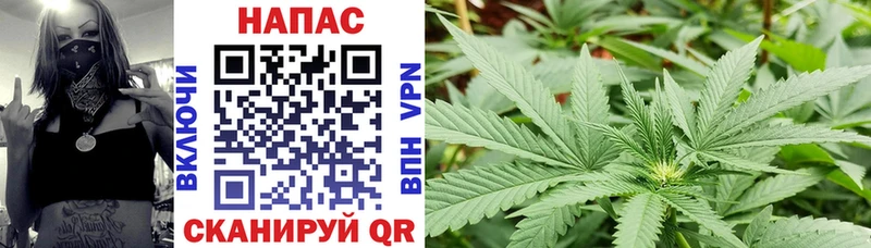 цены   Раменское  Бошки марихуана LSD WEED 